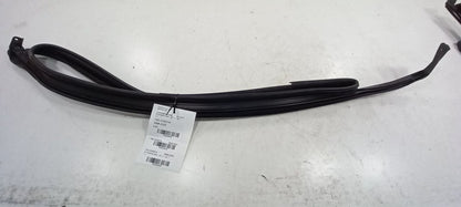 Dodge Dart Door Glass Window Seal Rubber Right Passenger Front 2013 2014 2015 16