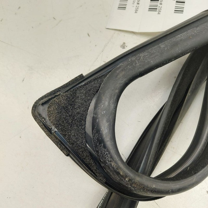 Ford Ecosport Door Glass Window Seal Rubber Right Passenger Front 2020