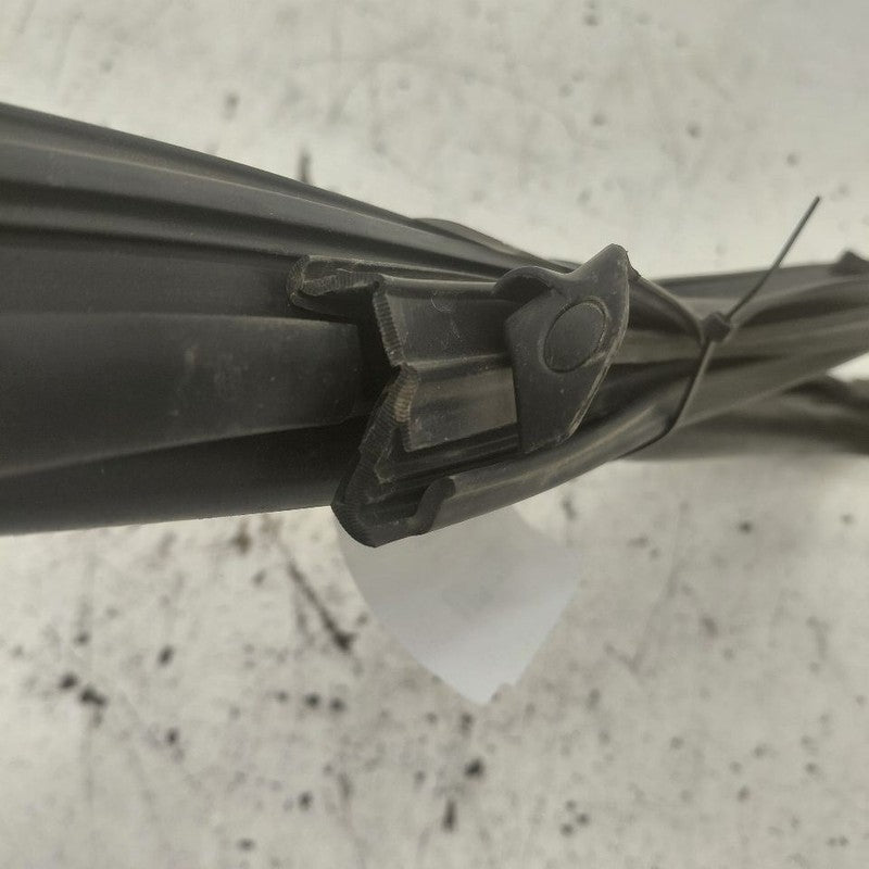 Hyundai Santa Fe Door Glass Window Seal Rubber Left Driver Rear Back  