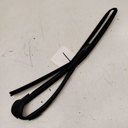 Nissan Versa Door Glass Window Seal Rubber Right Passenger Front  2024