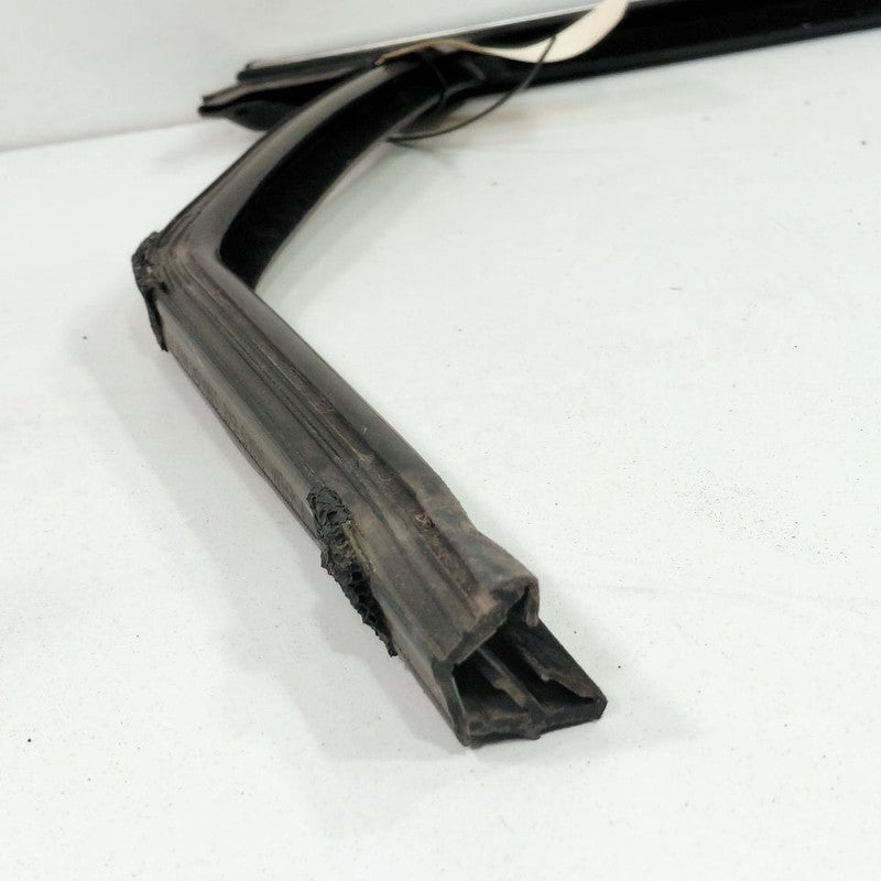 Ford Edge Door Glass Window Seal Rubber Right Passenger Rear Back 2019