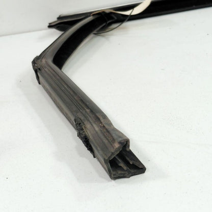 Ford Edge Door Glass Window Seal Rubber Right Passenger Rear Back 2019