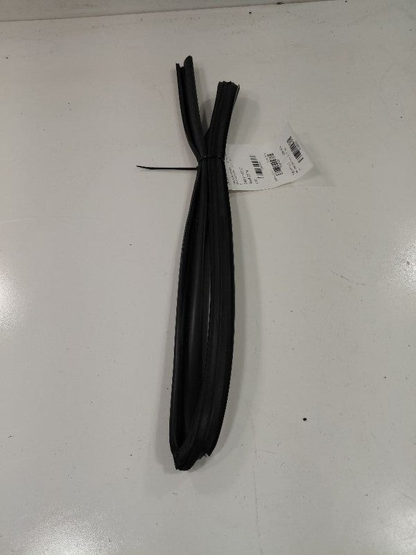 Hyundai Tucson Door Glass Window Seal Rubber Right Passenger Rear Back
