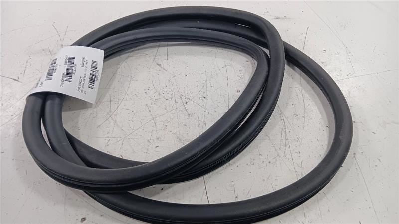 Dodge Dart On Body Door Jamb Seal Front Right Passenger  2013 2014 2015 2016