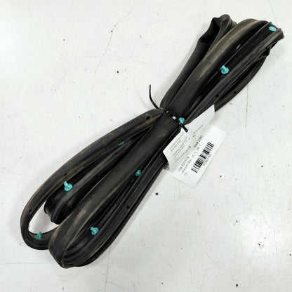 Ford Edge On Door Seal Rubber Left Driver Rear Back  2019 2020 2021 20