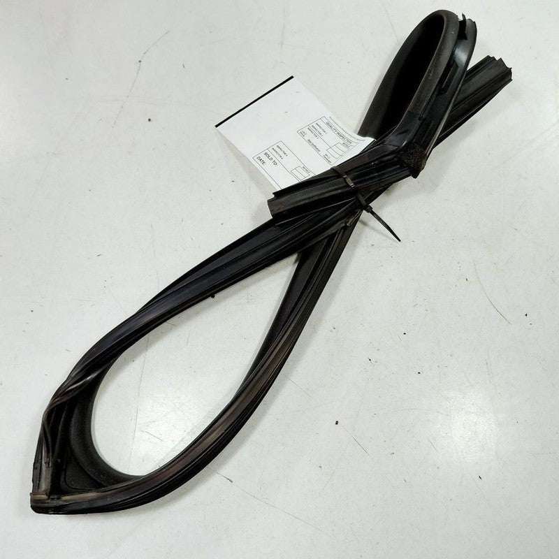 Hyundai Elantra Door Glass Window Seal Rubber Right Passenger Rear Bac