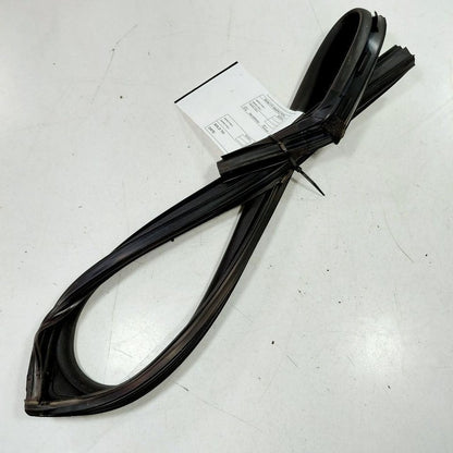 Hyundai Elantra Door Glass Window Seal Rubber Right Passenger Rear Bac