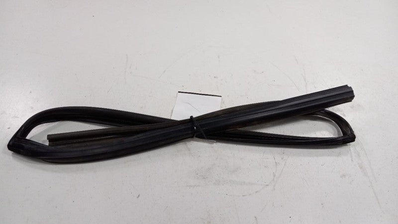 Nissan Maxima Door Glass Window Seal Rubber Right Passenger Rear Back 