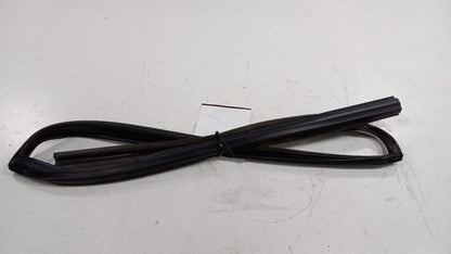 Nissan Maxima Door Glass Window Seal Rubber Right Passenger Rear Back 
