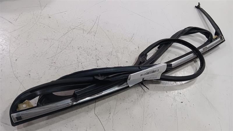 Buick Lacrosse Door Glass Window Seal Rubber Right Passenger Rear Back