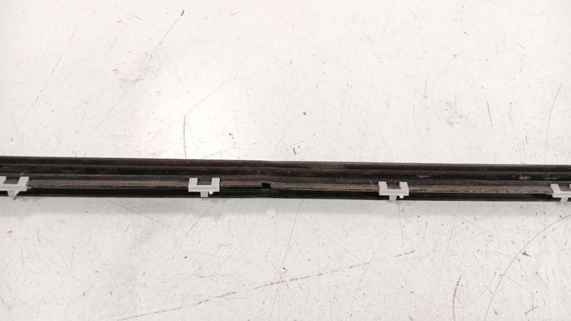 Mazda CX-9 Door Glass Window Weather Strip Trim Front Right Passenger 