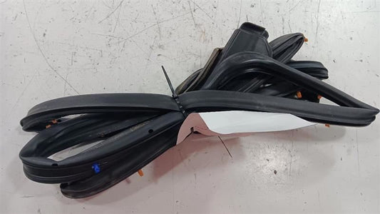 Mazda CX-3 On Door Seal Rubber Left Rear Back  2019 2020 2021 2022 OEM
