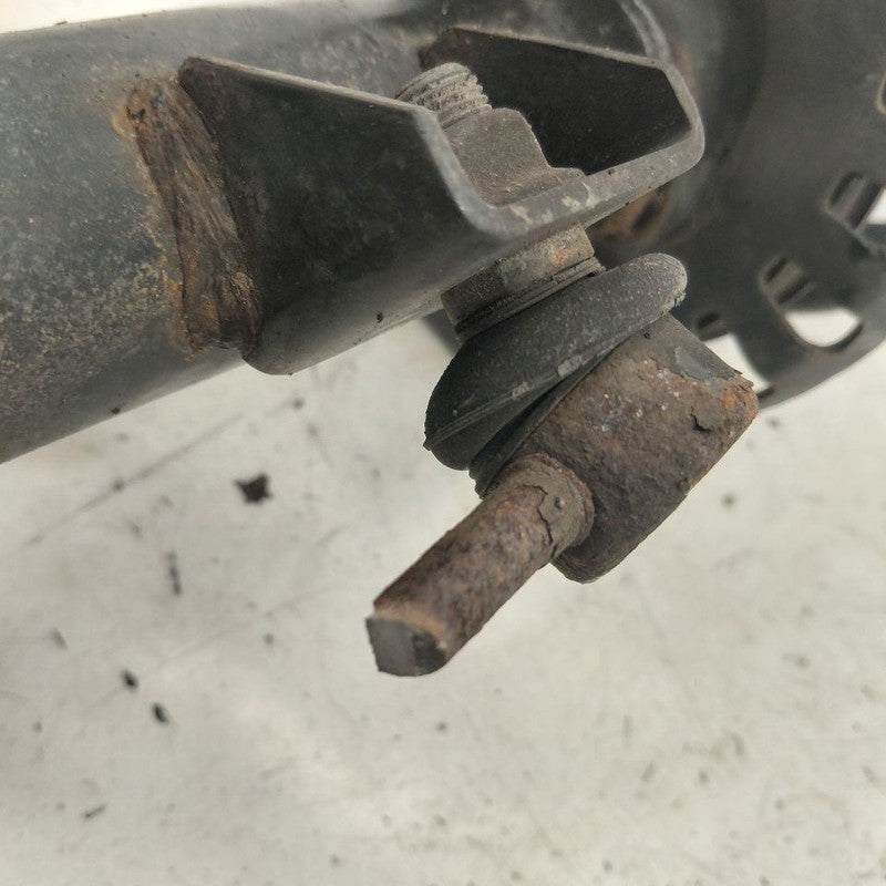 Passenger Right Front Strut Fits 16-17 Hyundai Veloster