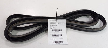 Chevy Cruze On Door Seal Rubber Right Passenger Front 2016 2017 2018