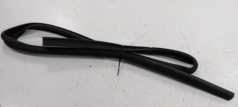 Dodge Journey Door Glass Window Seal Rubber Left Rear Back 2014 2015 2