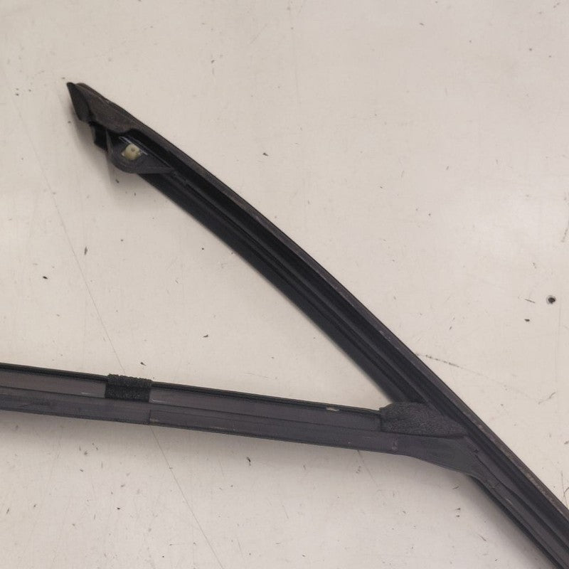 Ford Escape Door Glass Window Seal Rubber Right Passenger Front  2020 