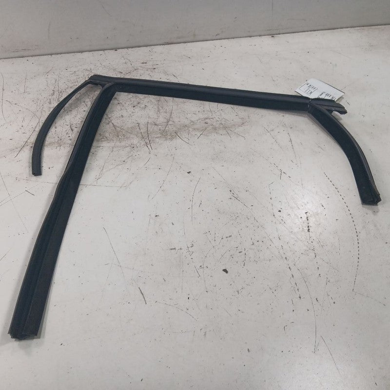 Ford Focus Door Glass Window Seal Rubber Left Driver Rear Back  2018 2