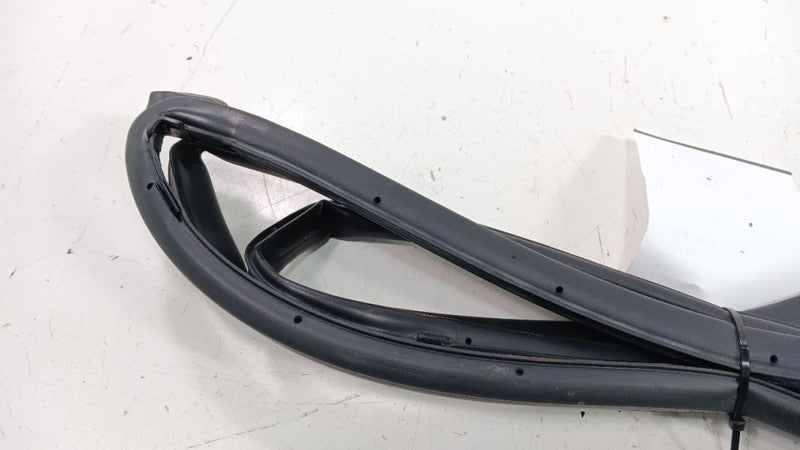 Kia Forte On Door Seal Rubber Right Passenger Front 2016 2015 2014 OEM
