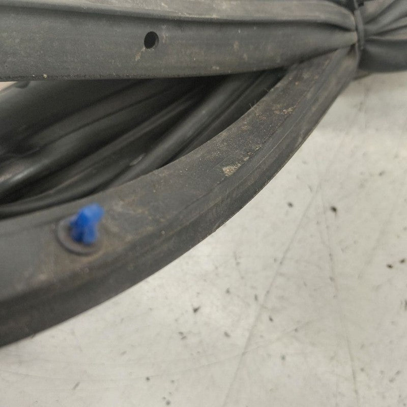 Mazda 6 On Door Seal Rubber Right Passenger Front  2016 2015 2014