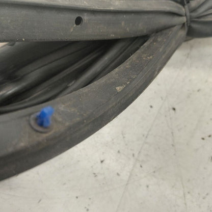 Mazda 6 On Door Seal Rubber Right Passenger Front  2016 2015 2014