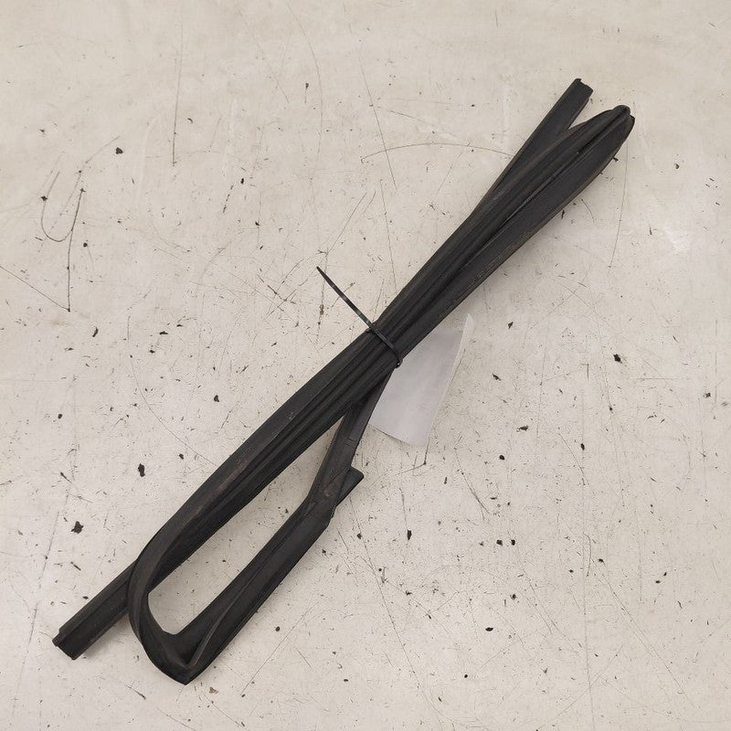 Nissan Murano Door Glass Window Seal Rubber Right Passenger Rear Back 