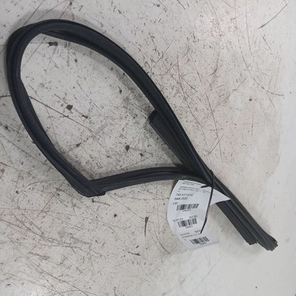 Hyundai Elantra Door Glass Window Seal Rubber Right Passenger Front  2017 2018 2