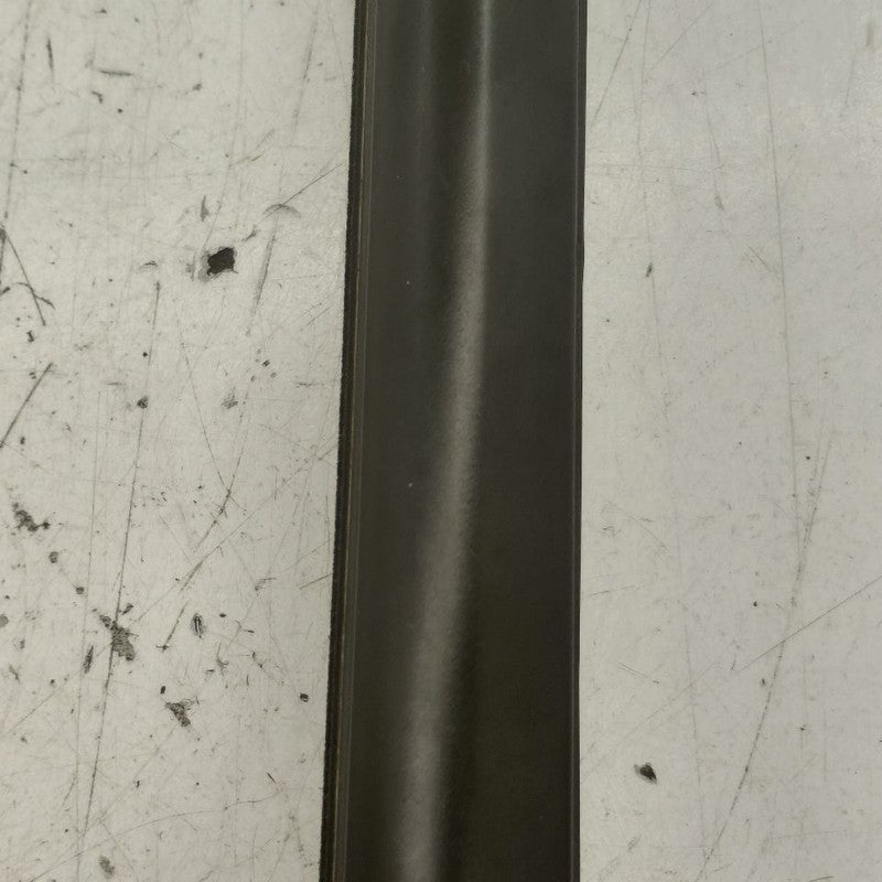Buick Encore GX Door Glass Window Weather Strip Trim Front Left Driver