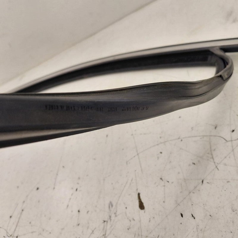 Kia Sorento Door Glass Window Seal Rubber Right Passenger Front  2018 