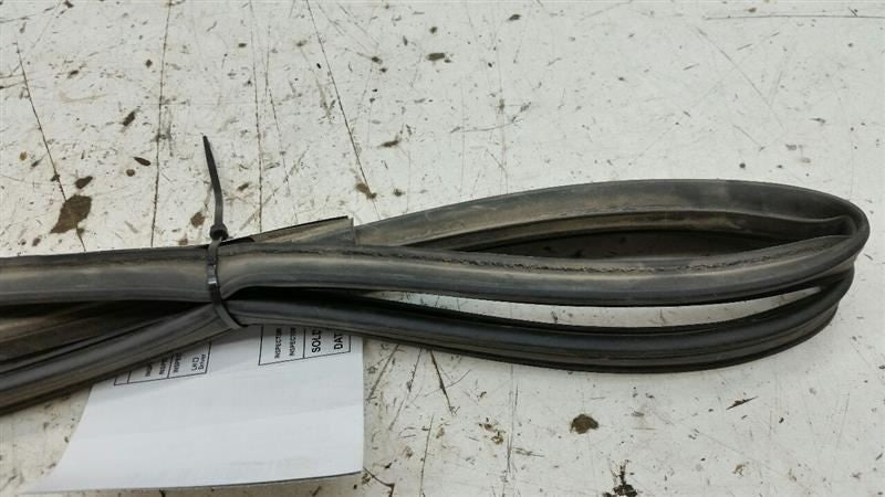 Nissan Sentra On Door Seal Rubber Gasket Right Passenger Front 2004 20