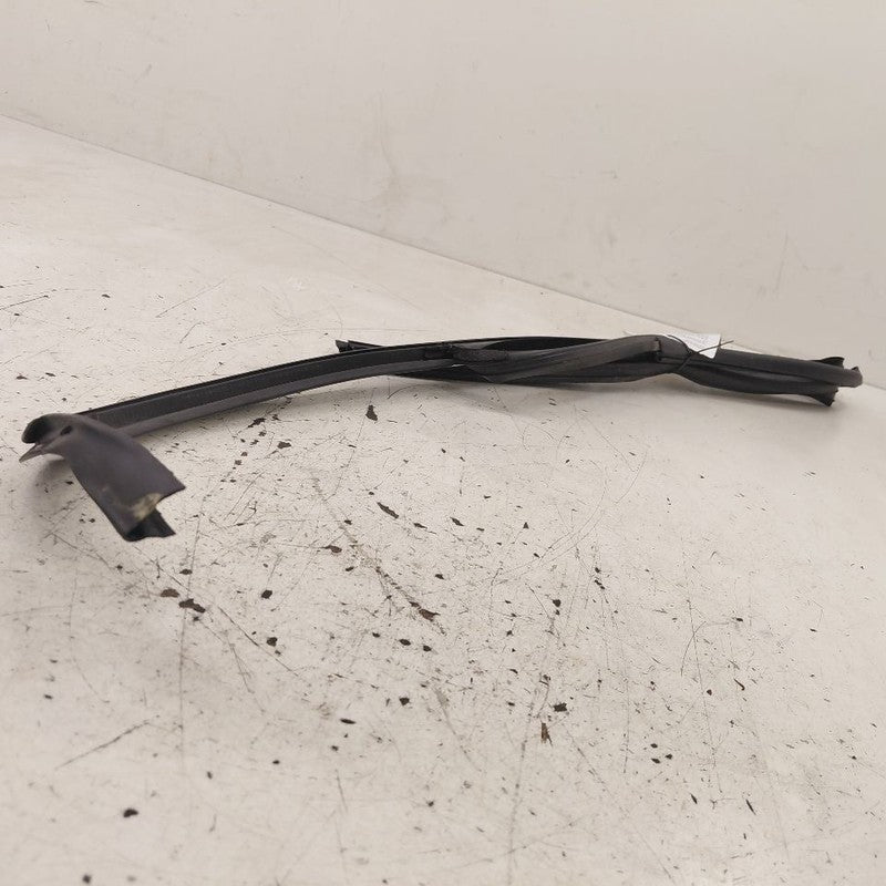Volvo S60 Door Glass Window Seal Rubber Left Driver Rear Back  2013 20