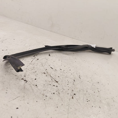Volvo S60 Door Glass Window Seal Rubber Left Driver Rear Back  2013 20