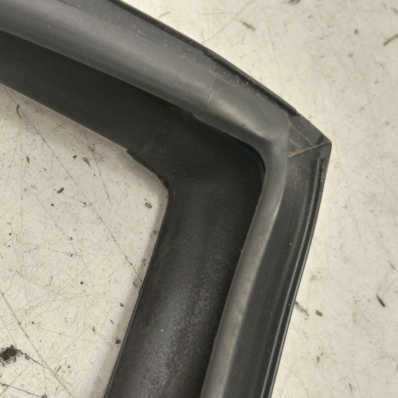 Nissan Murano Door Glass Window Seal Rubber Left Driver Rear Back 2020