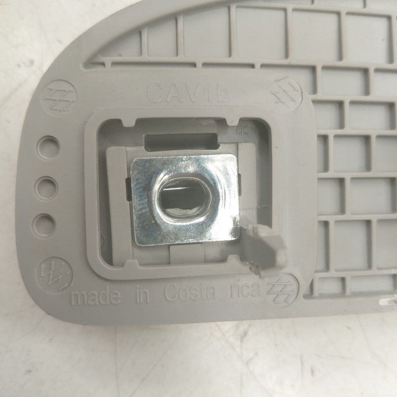 Chevy Equinox Passenger Right Rear Dome Light & Handle {84260155} 2024