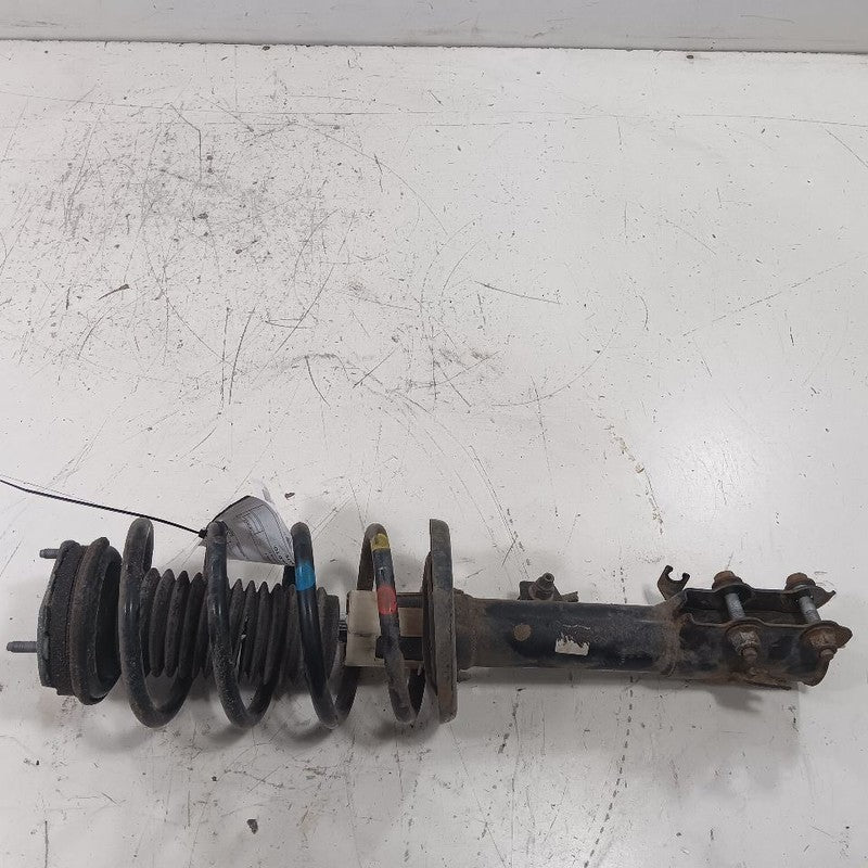 Driver Left Strut Fits 18-22 Ford Ecosport OEM