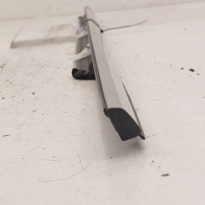 Ford Edge Door Glass Window Weather Strip Trim Rear Left Driver Back  
