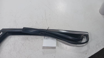 Chrysler 200 Door Glass Window Seal Rubber Right Passenger Rear Back  