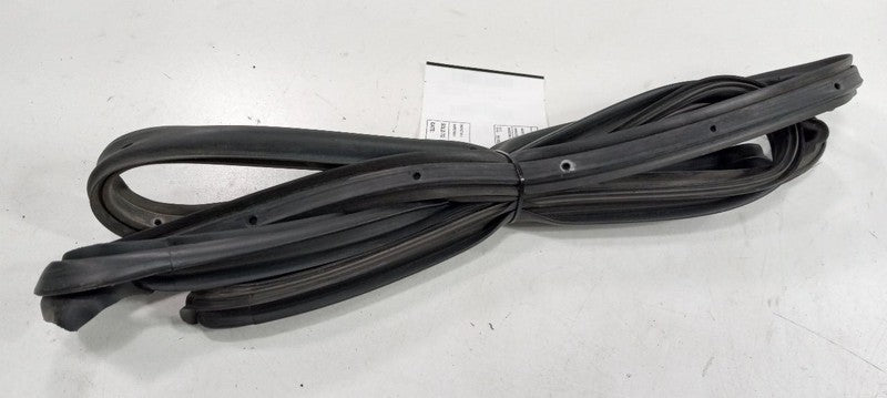 Cadillac CTS On Door Seal Rubber Right Passenger Rear Back 2010 2011 2012 2013 2
