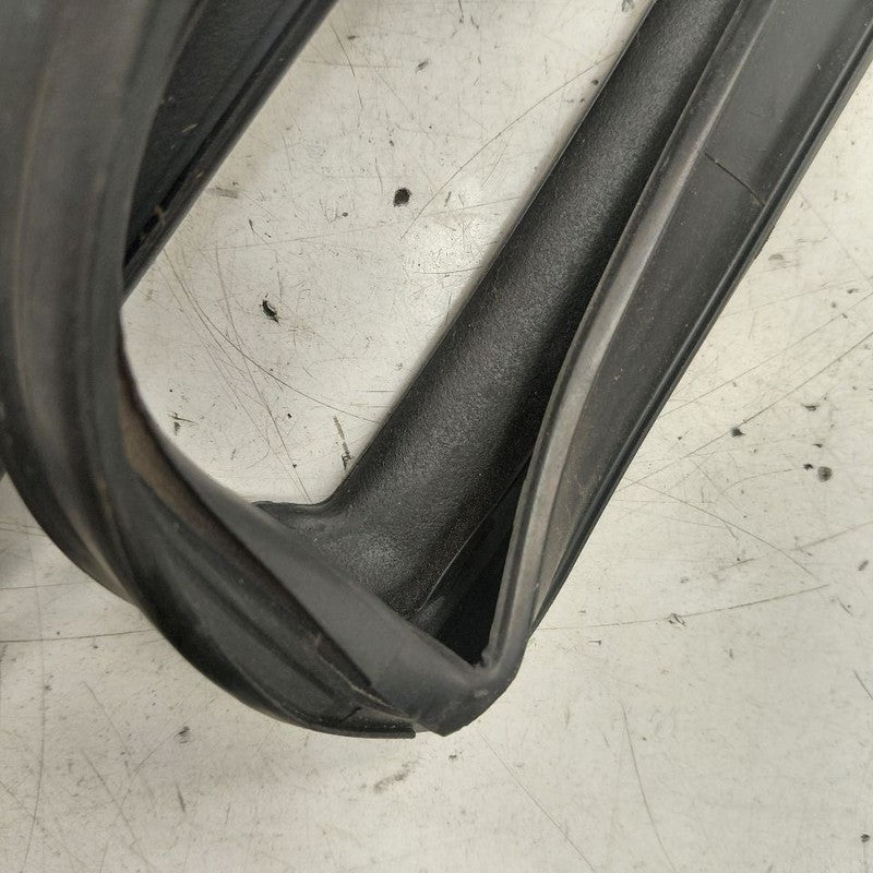 Nissan Murano Door Glass Window Seal Rubber Right Passenger Rear Back 