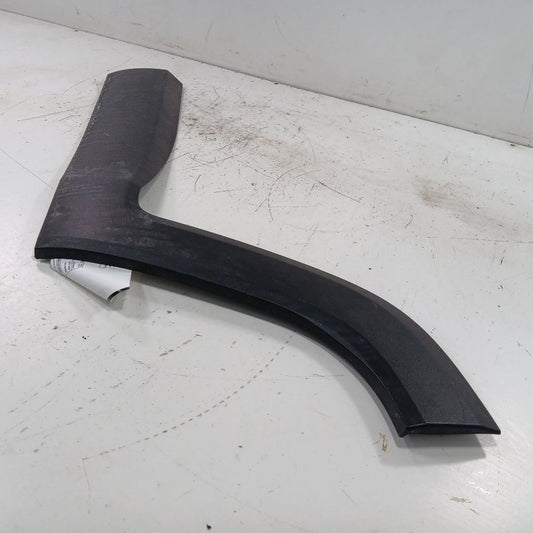 Jeep Renegade Door Molding Trim Strip Left Driver Side Rear Back  2021 2020 2019