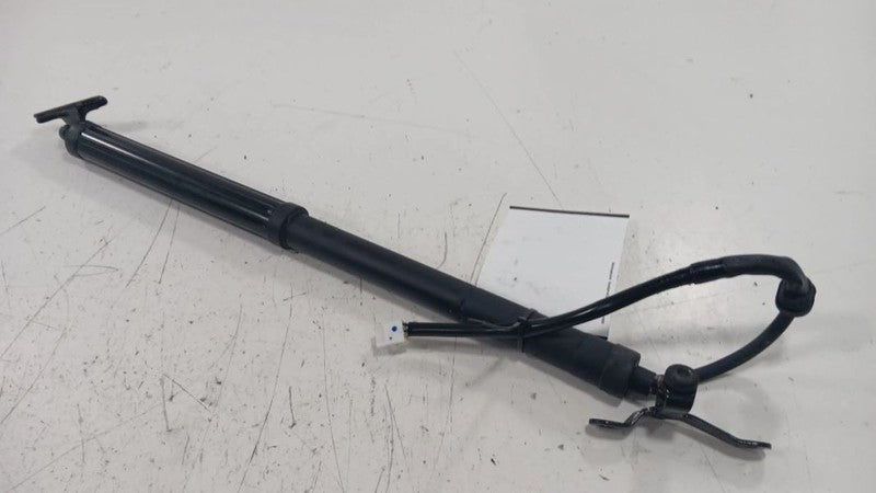 Toyota Rav 4 Hatchback Hatch Back Trunk Lid Shock Strut Support  2019 