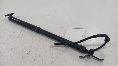 Toyota Rav 4 Hatchback Hatch Back Trunk Lid Shock Strut Support  2019 