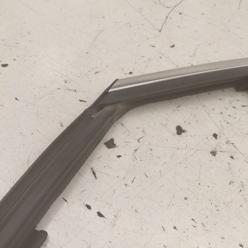 Ford Edge Door Glass Window Seal Rubber Left Driver Front  2018 2017 2