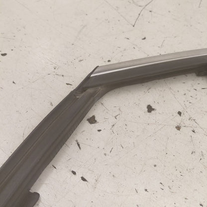 Ford Edge Door Glass Window Seal Rubber Left Driver Front  2018 2017 2
