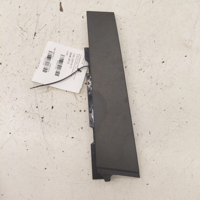 Chevy Volt Passenger Right Rear Door Applique {23323966} 2016 2017 201