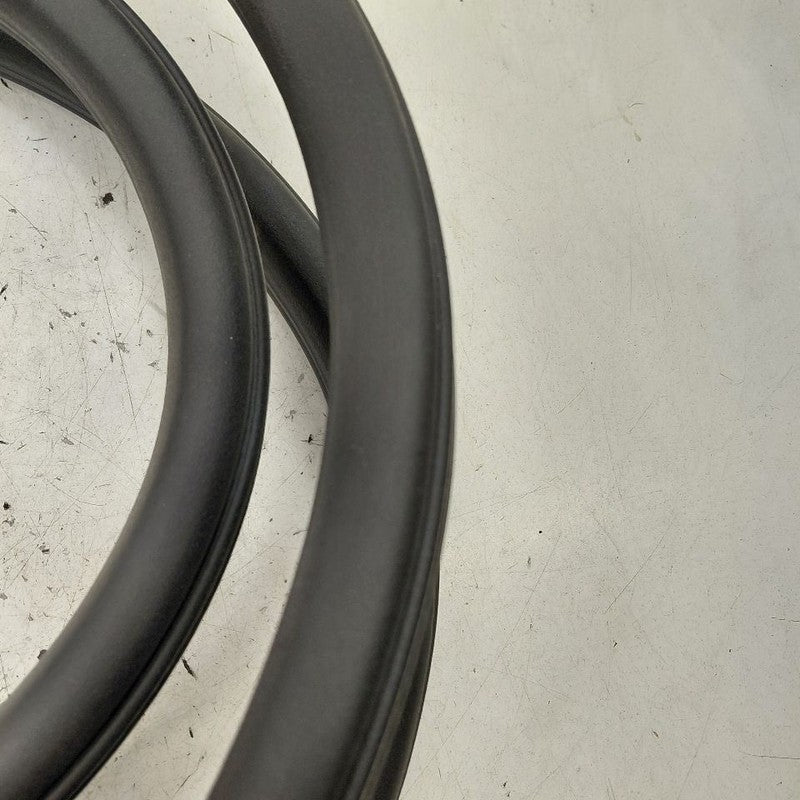 Cadillac CT6 On Body Door Jamb Seal Rear Left Driver Back  2018 2017 2