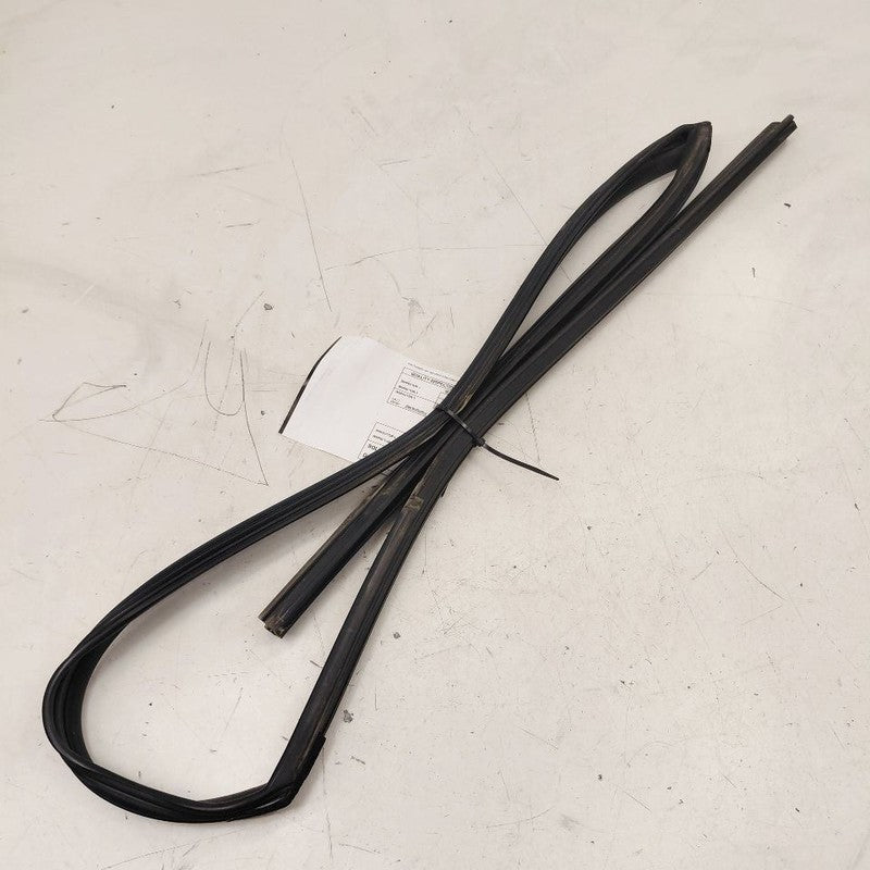 Kia Optima Door Glass Window Seal Rubber Left Driver Front  2018 2017 