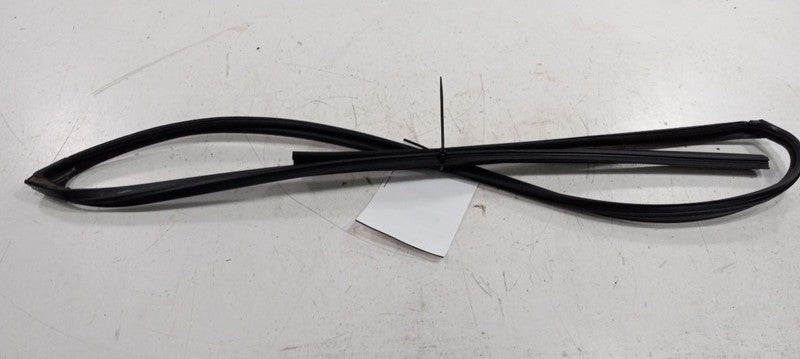 Toyota Corolla Door Glass Window Seal Rubber Right Passenger Front 201