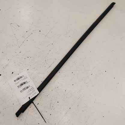 Chevy Volt Door Glass Window Weather Strip Trim Rear Left Driver Back 