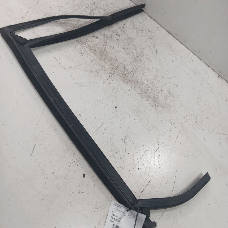 Ford Focus Door Glass Window Seal Rubber Left Driver Rear Back  2018 2