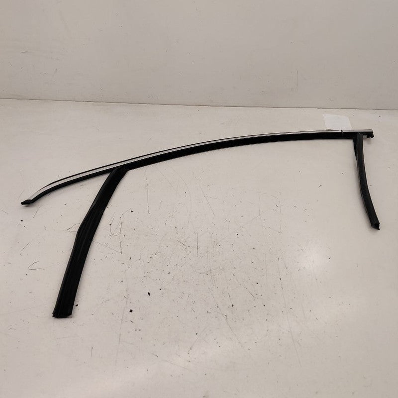 Volvo S60 Door Glass Window Seal Rubber Left Driver Front  2018 2017 2